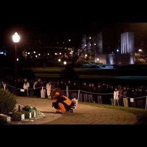 Meet your Posher, Brandi